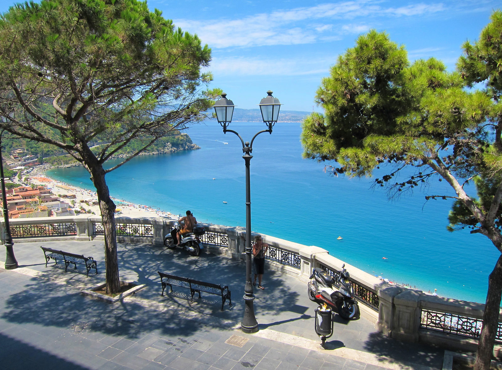 Scilla